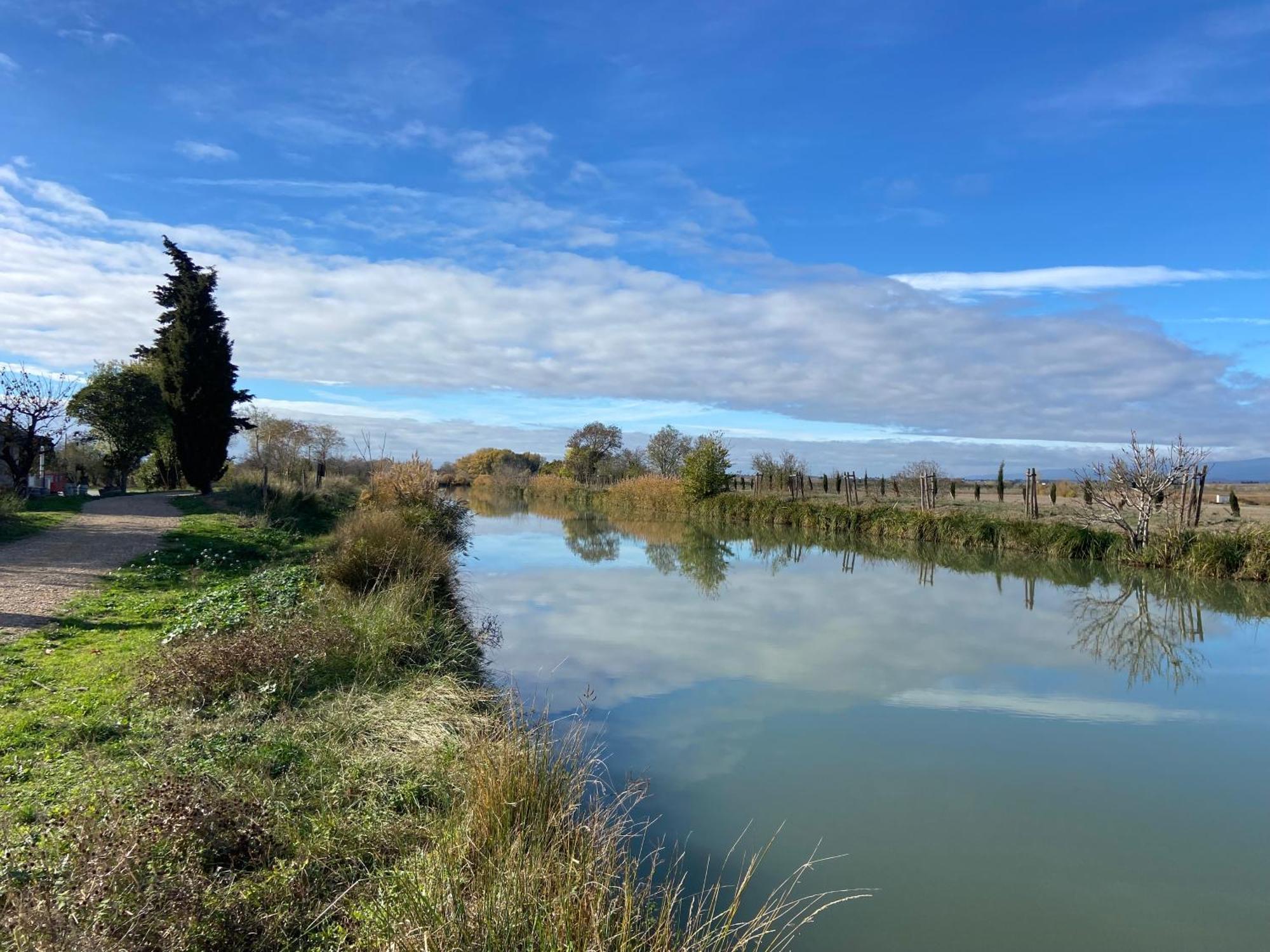 Maison, Canal Du Midi Piscine Homps  Exteriör bild